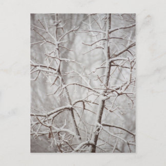 Tree in a Snowstorm Postcard
