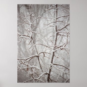 Tree In  A Snowstorm Poster by Captain_Panama at Zazzle