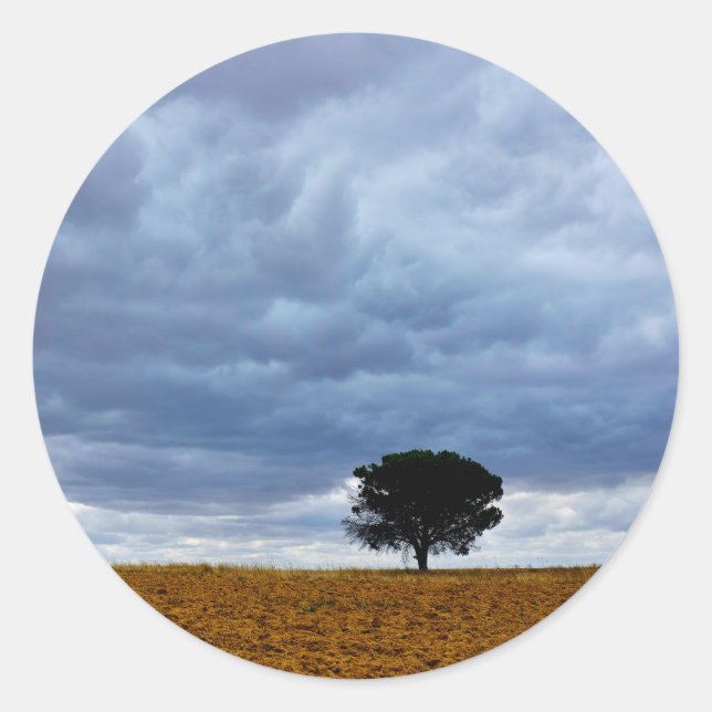 Tree in an empty field classic round sticker (Front)