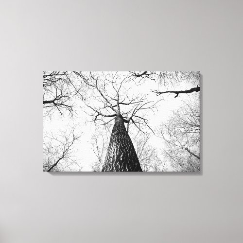 Tree in black and white canvas print