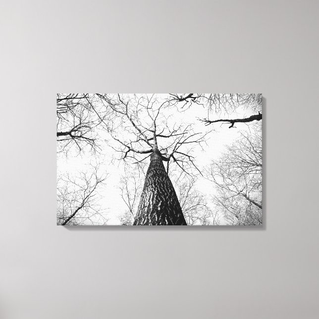 Tree in black and white canvas print (Front)