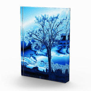 Tree in Blue Ice Acrylic Photo Block