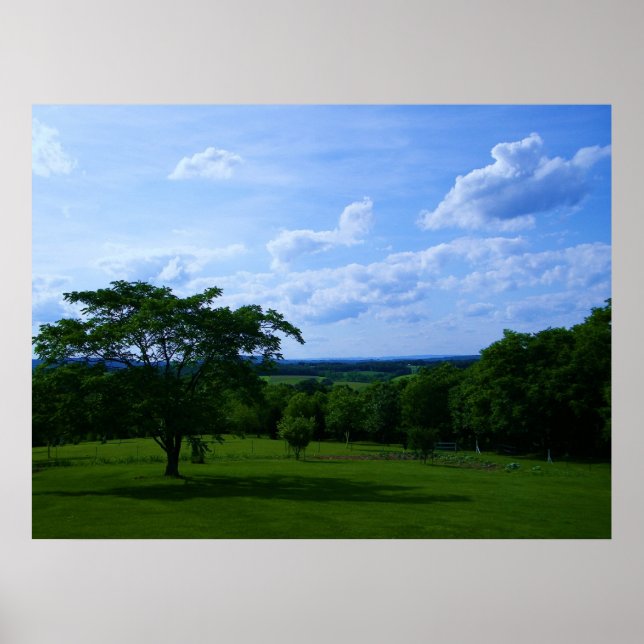 Tree in Field & Beautiful Sky Poster (Front)