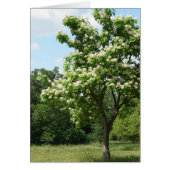 Tree in Full Bloom (Front)