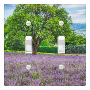 Tree in Lavender Field, France Light Switch Cover