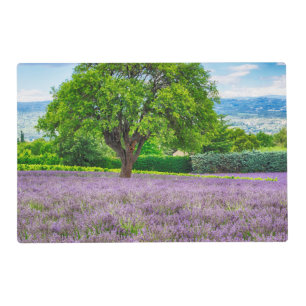 Tree in Lavender Field, France Placemat
