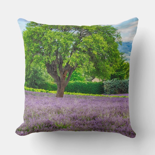 Tree in Lavender Field, France Throw Pillow (Front)
