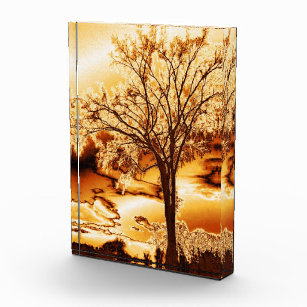 Tree in Molten Gold -Autumn Beauty Acrylic Acrylic Award