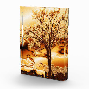 Tree in Molten Gold -Autumn Beauty Acrylic Award