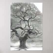 Tree in Shades of Gray