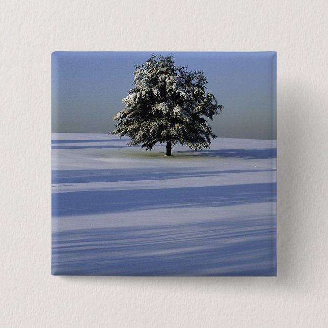 Tree in snow covered landscape button (Front)