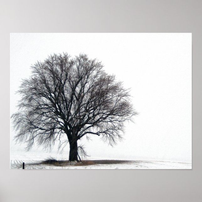 tree in snow poster (Front)