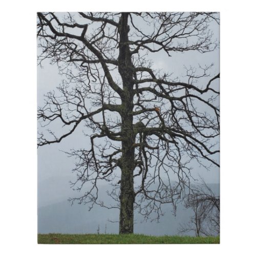 Tree in the Fog on the Blue Ridge Parkway Faux Canvas Print