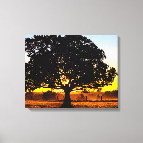 Tree in the Morning Canvas Print