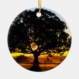 Tree in the Morning Ceramic Ornament
