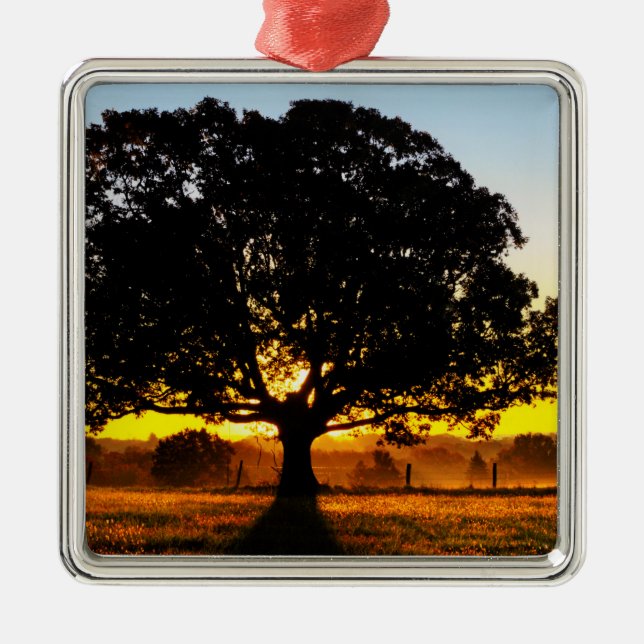 Tree in the Morning Metal Ornament (Front)