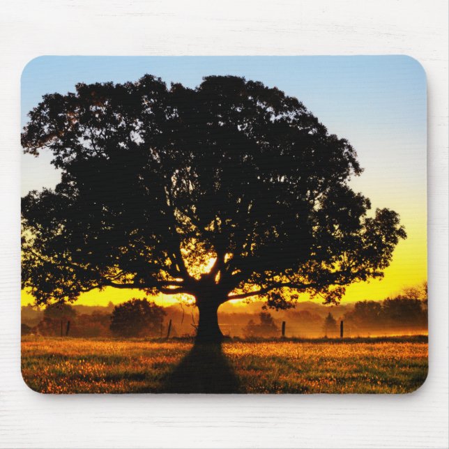 Tree in the Morning Mouse Pad (Front)