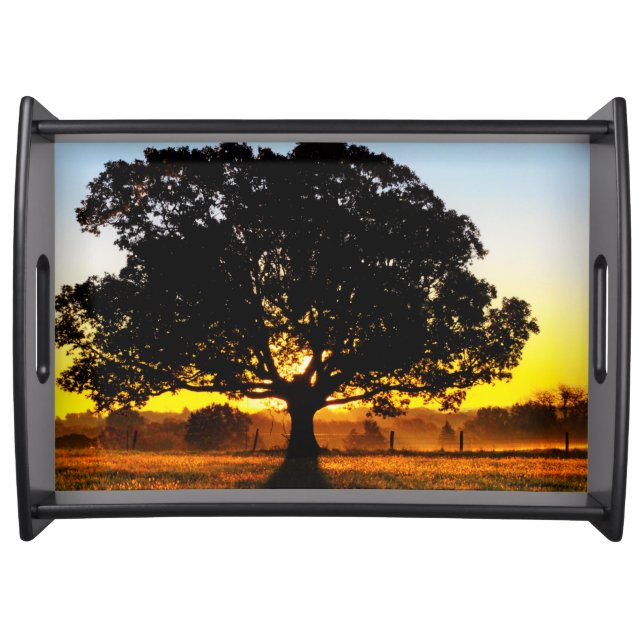Tree in the Morning Serving Tray (Front)