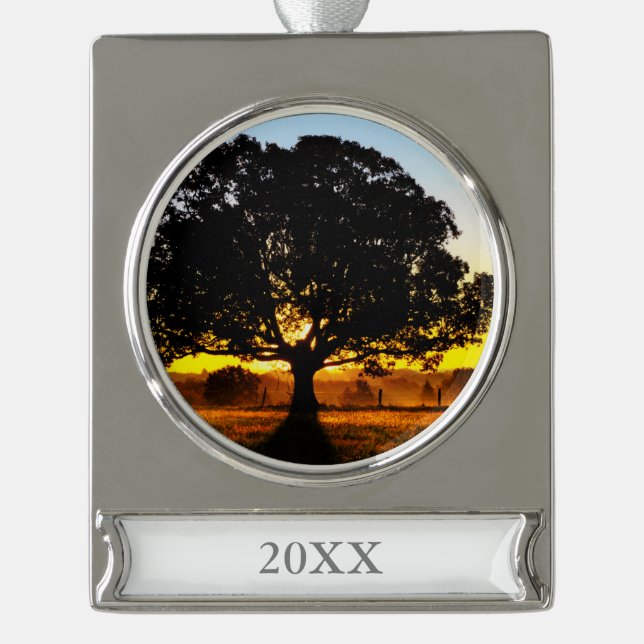 Tree in the Morning Silver Plated Banner Ornament (Front)