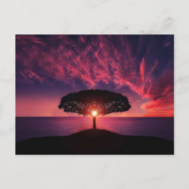 Tree in the sunset postcard (Front)
