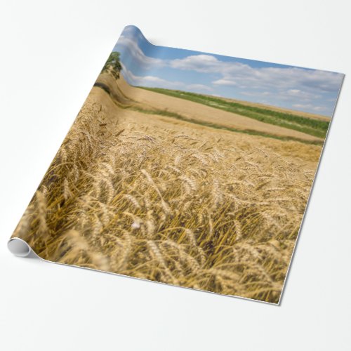 Tree In Wheat Field Landscape Wrapping Paper