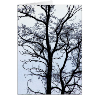 Tree in winter cards