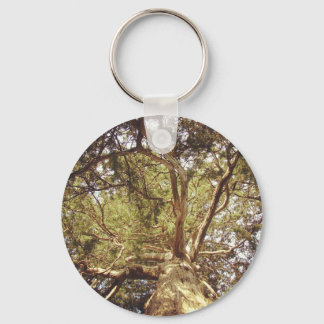 Tree Keychain