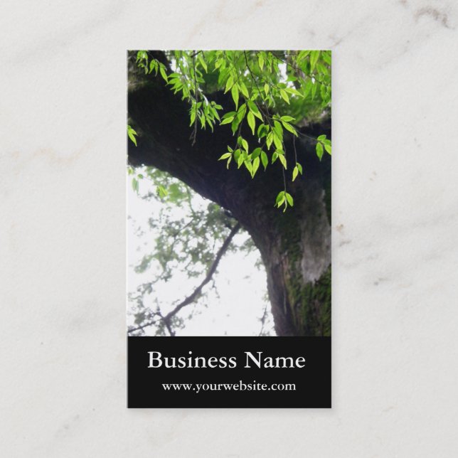 © Tree l Still Nature l Photography Business Card (Front)