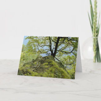 Tree/ Lake Champlain Card