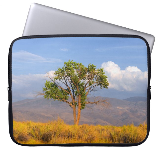 Tree Laptop Sleeve (Front)