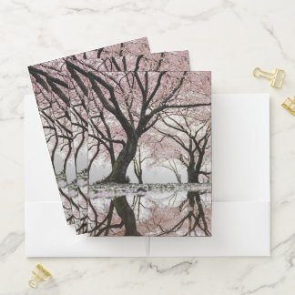 Tree leaf Nature Landscapes Sky Destiny Destiny'S Pocket Folder