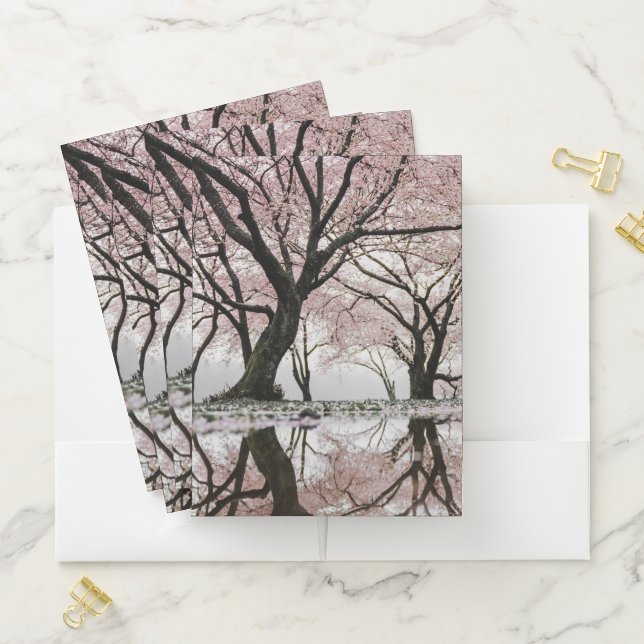 Tree leaf Nature Landscapes Sky Destiny Destiny'S Pocket Folder (In Situ)