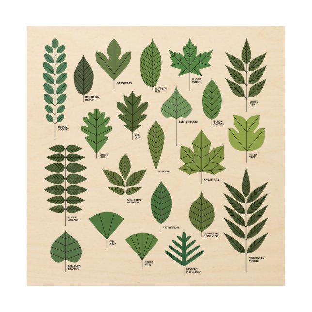 Tree Leaves Wood Wall Art 12x12 (Front)