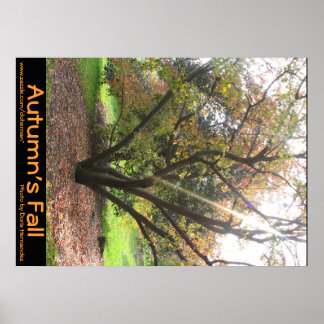 Tree Light Ray Autumn's Fall Poster