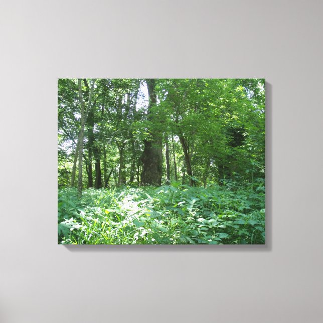 Tree line canvas print (Front)