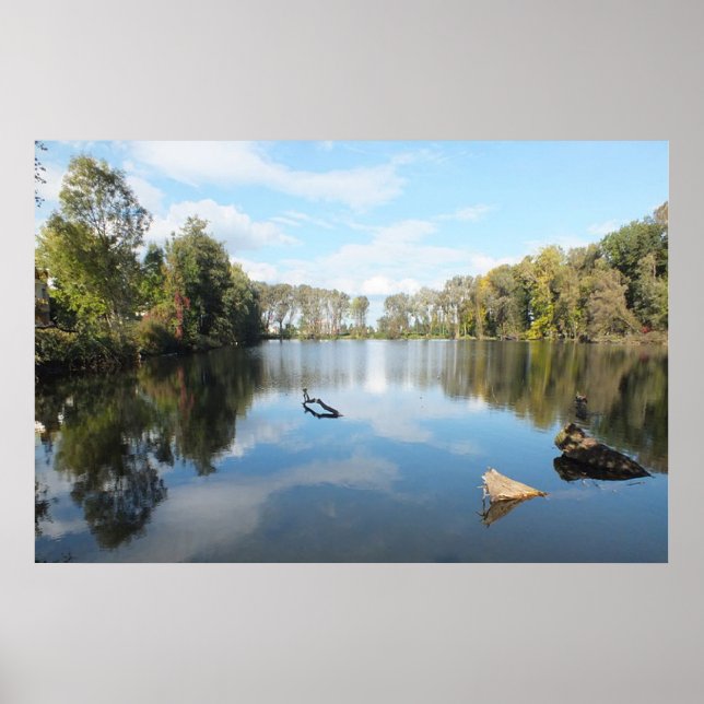 Tree Lined Lake Poster (Front)