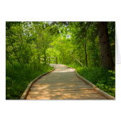 Tree-Lined Path Cards (Front Horizontal)