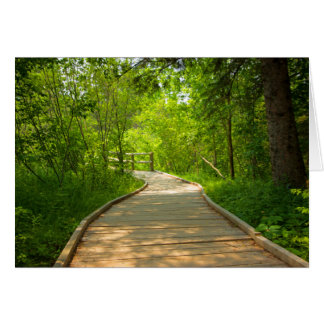 Tree-Lined Path Cards