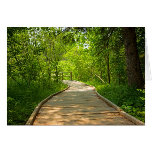 Tree-Lined Path Cards (Front Horizontal)