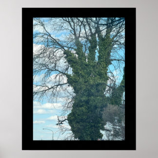 Tree Looks Like a Hand Poster
