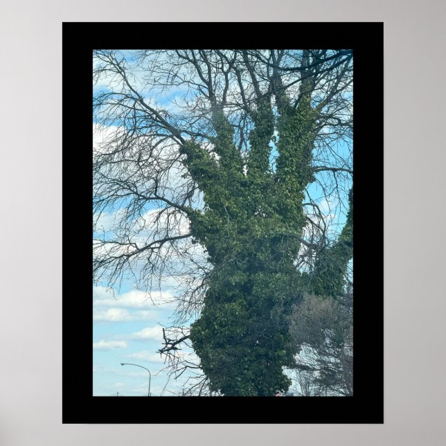 Tree Looks Like a Hand Poster (Front)
