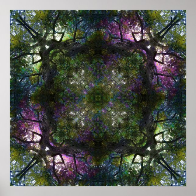 Tree Magic Poster 20" x 20" (Front)