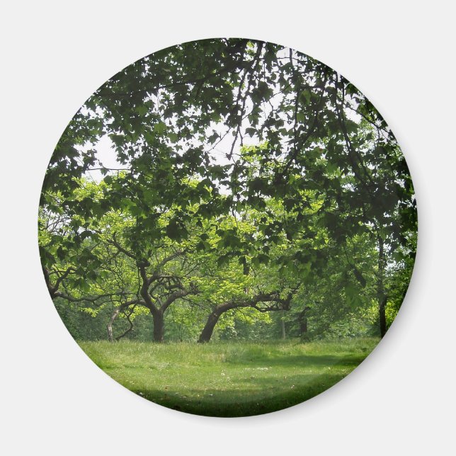 Tree Magnet (Front)
