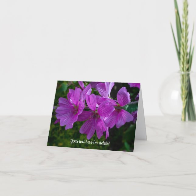 Tree Mallow Greeting card (Front)