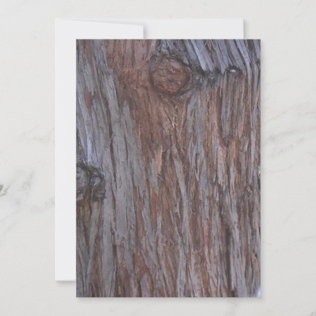 Tree Men Faces Note Card (Front)