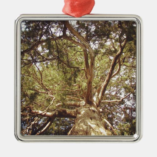 Tree Metal Ornament