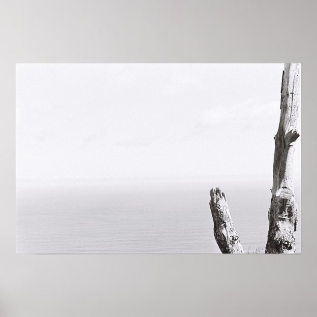 Tree Minimalistic Monochrome Kodak Film Poster (Front)