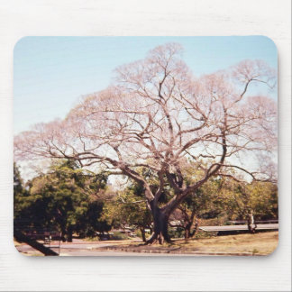 tree mousepad