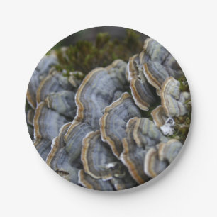 Tree Mushrooms Photo Paper Plates
