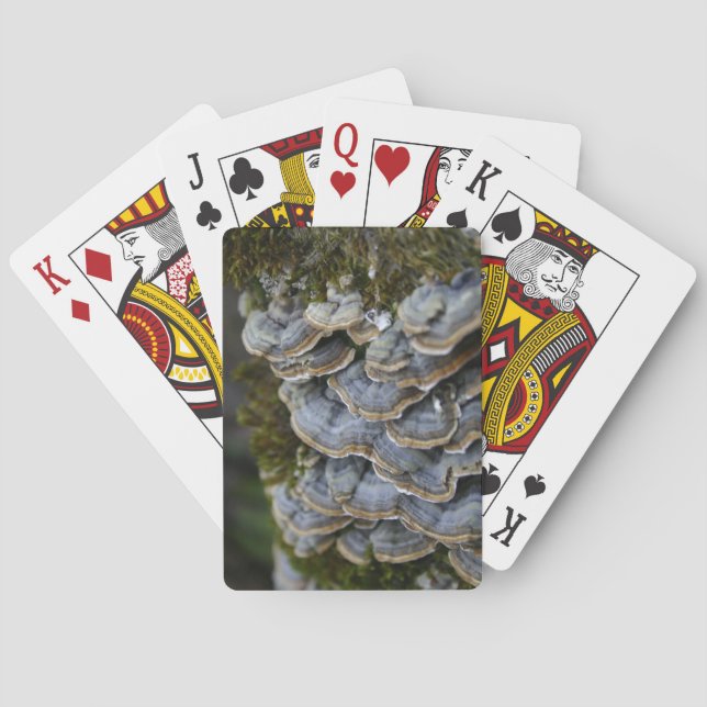 Tree Mushrooms Photo Playing Cards (Back)